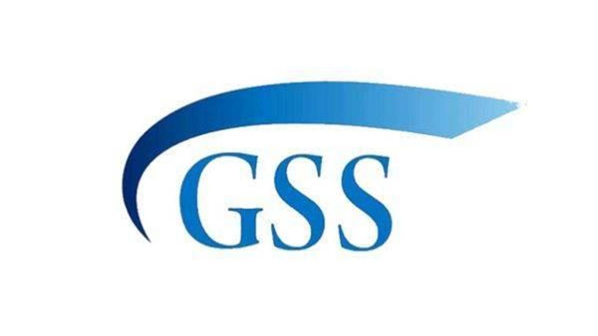 Sgk Borç Sorgulama İle GSS Ve Bağkur Prim Borcu Öğrenebilirsiniz