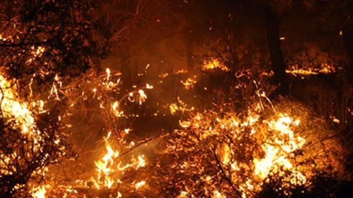 Adana'da büyük yangın