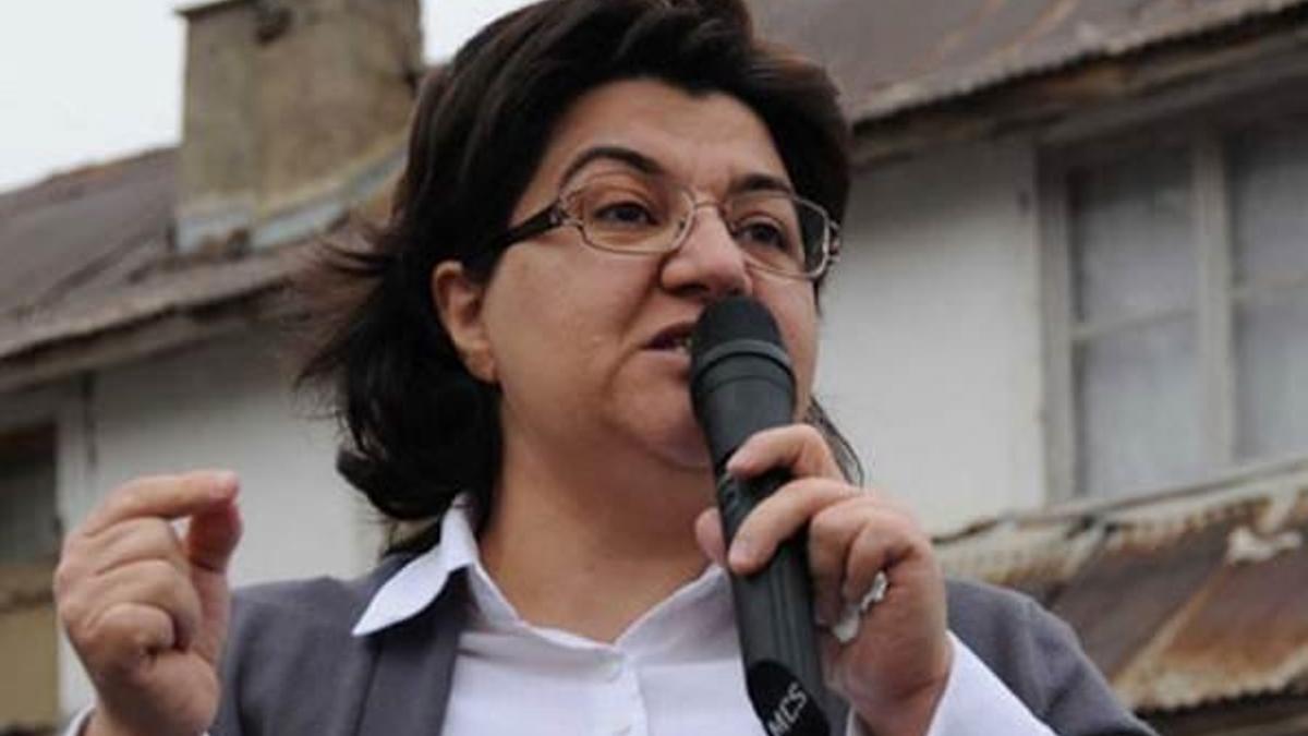 Emine Ayna: Silahları tasvip etmiyoruz
