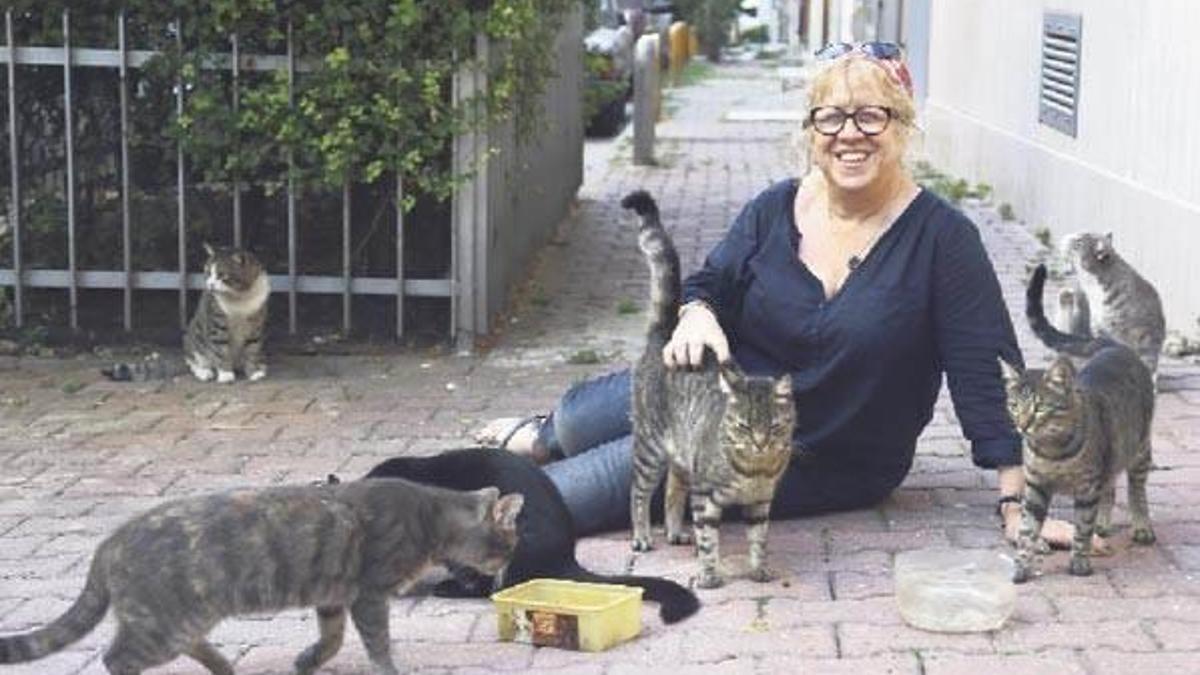 İstanbul kedileri bu yabancılara emanet