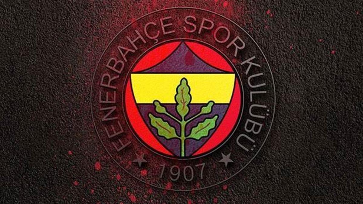Turnuva şampiyonu Fenerbahçe