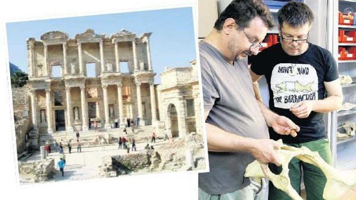 Efes’te gergedan leopar kemikleri