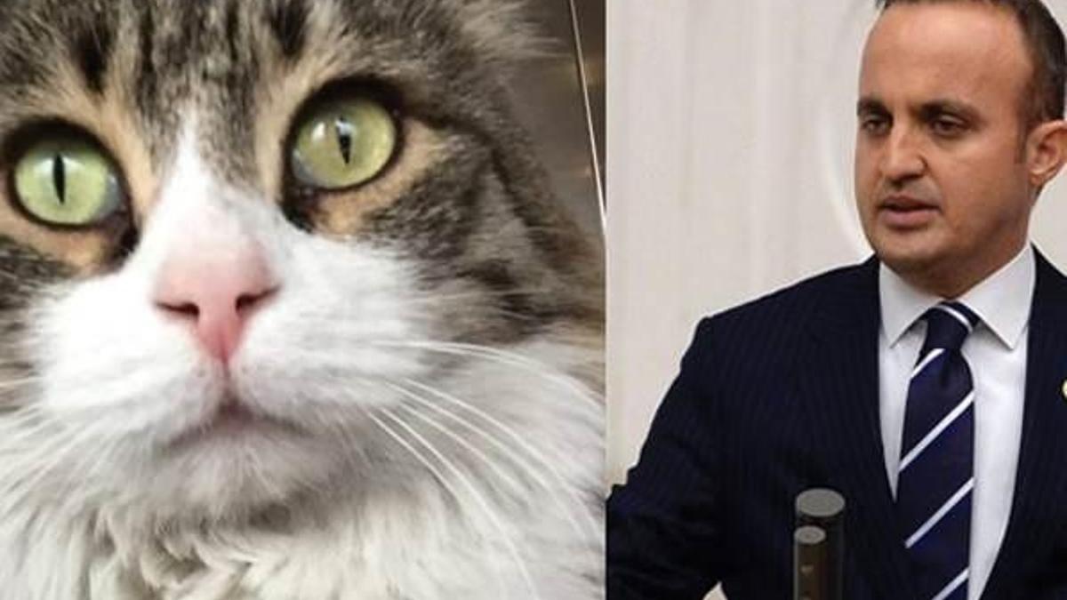 AK Parti’li Turan Şero ile tartıştı