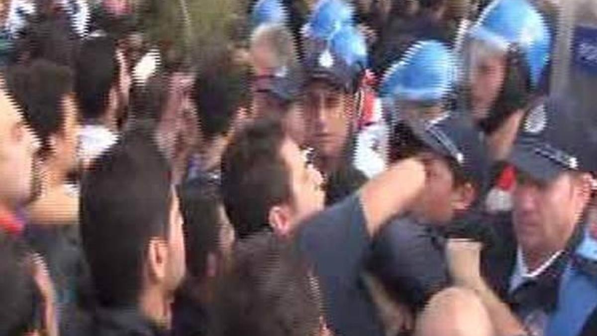 Büyükçekmece’de ağaç kesimi protestosu