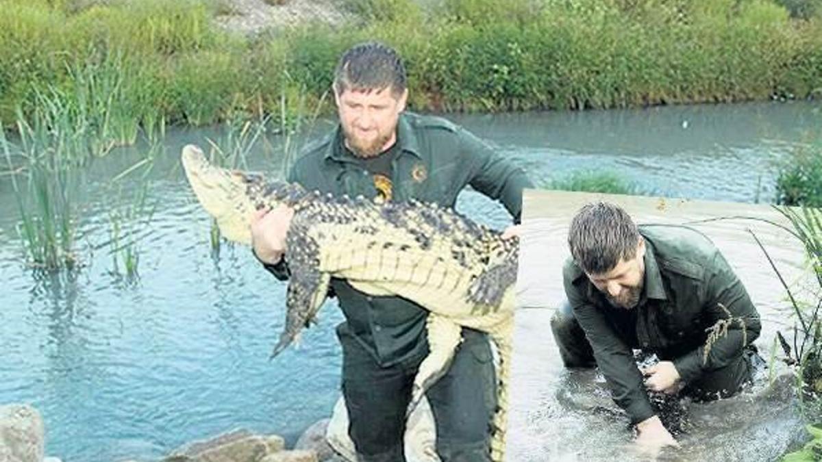 Timsah avcısı Kadirov