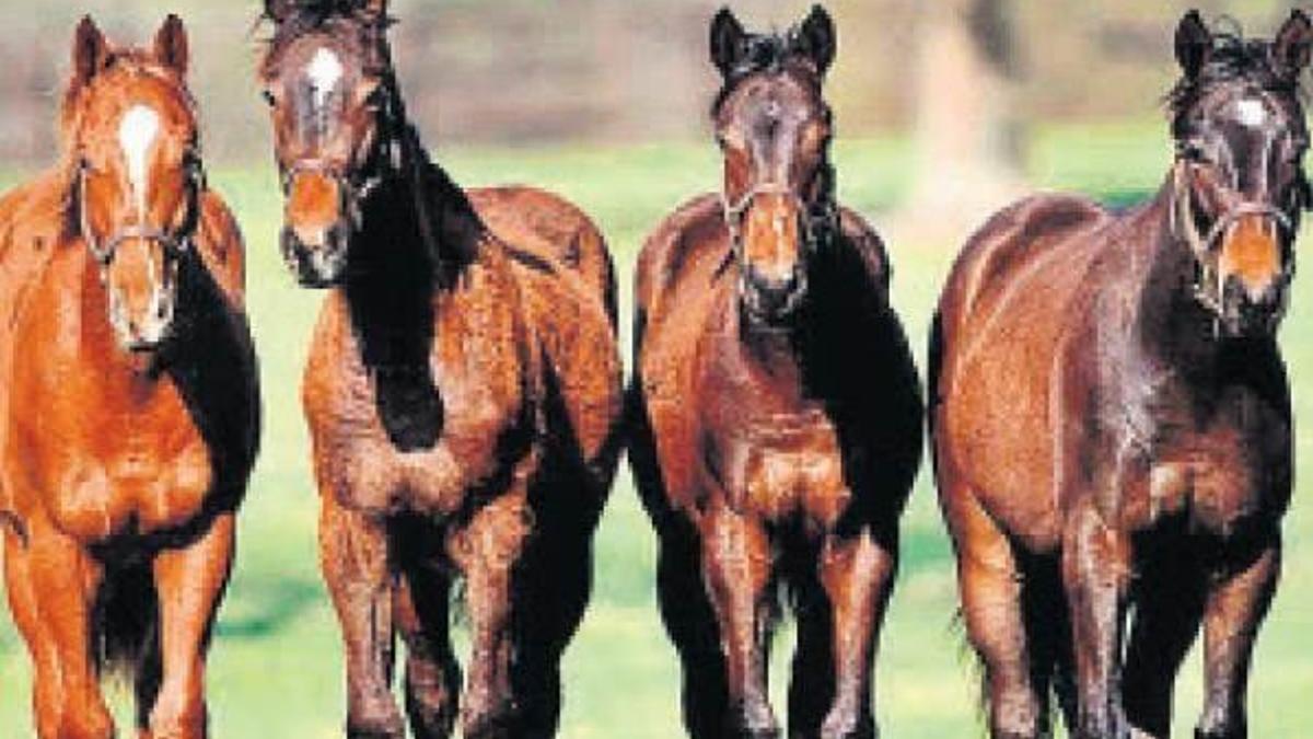 Onlarınki de ’Çip Bebek’