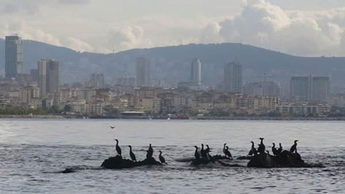İstanbul'un kayıp adası gün yüzüne çıkarılıyor