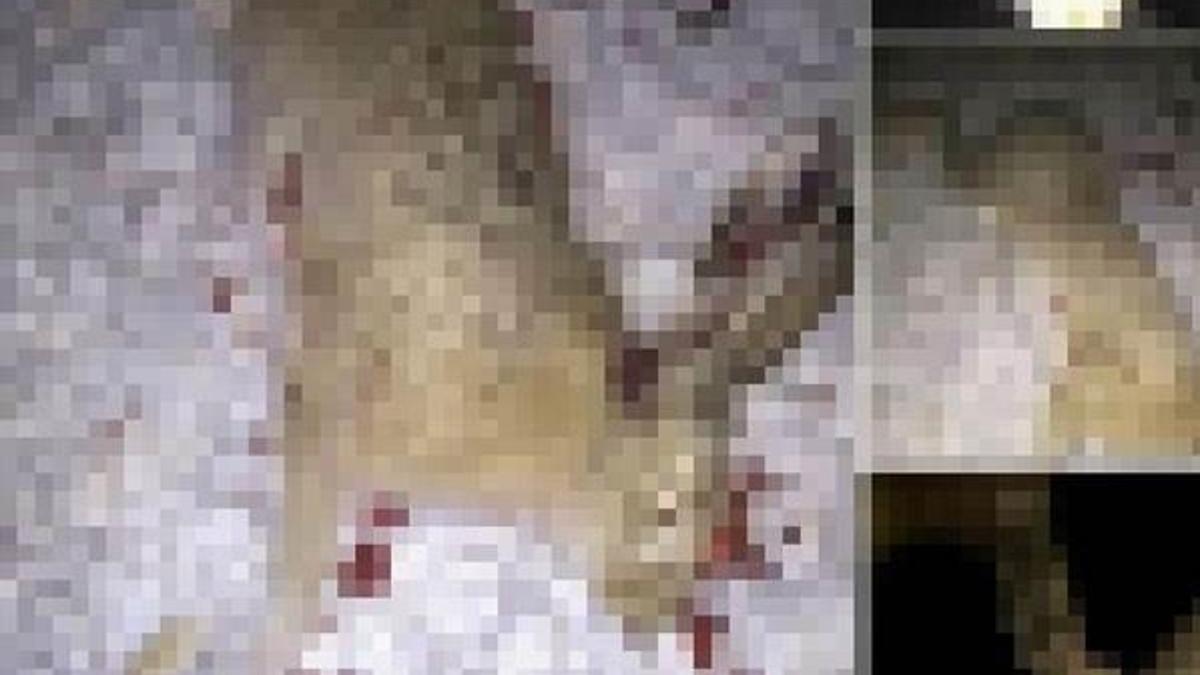 Facebook’ta kaçak av fotoğrafına, 1914 lira para cezası