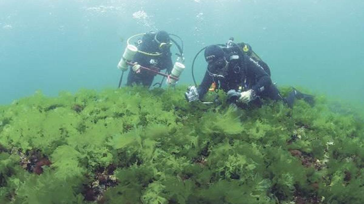 İstanbul’un kayıp adası Vordonisi