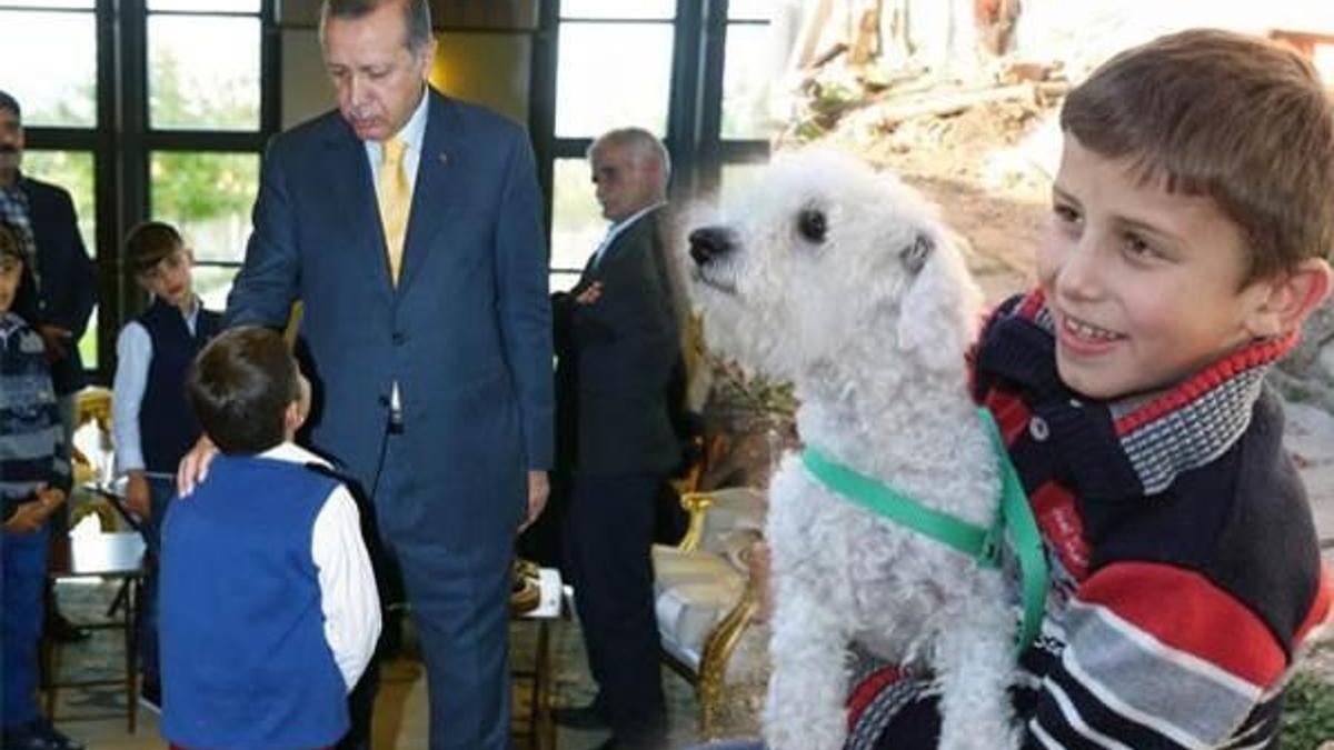 Cumhurbaşkanı Erdoğan, köpek hediye ettiği ailenin banka borcunu da çözdü