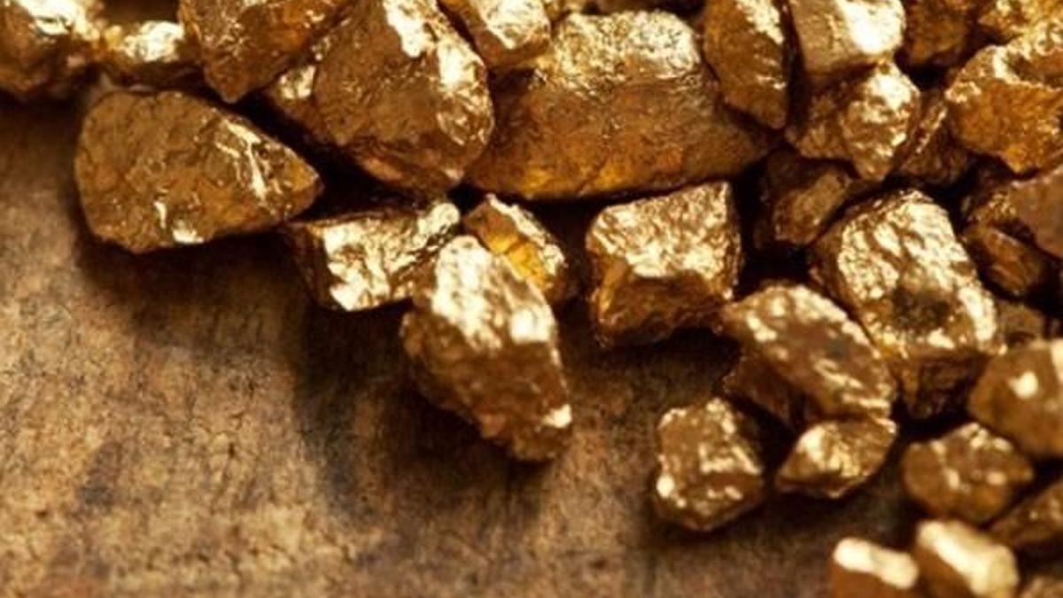 '150 ton altın bulmayı umuyoruz, binlerce kişi çalışacak'