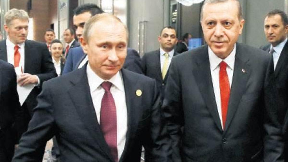 Akkuyu zeytine takıldı