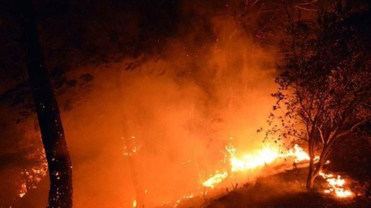 Osmaniye'de orman yangını