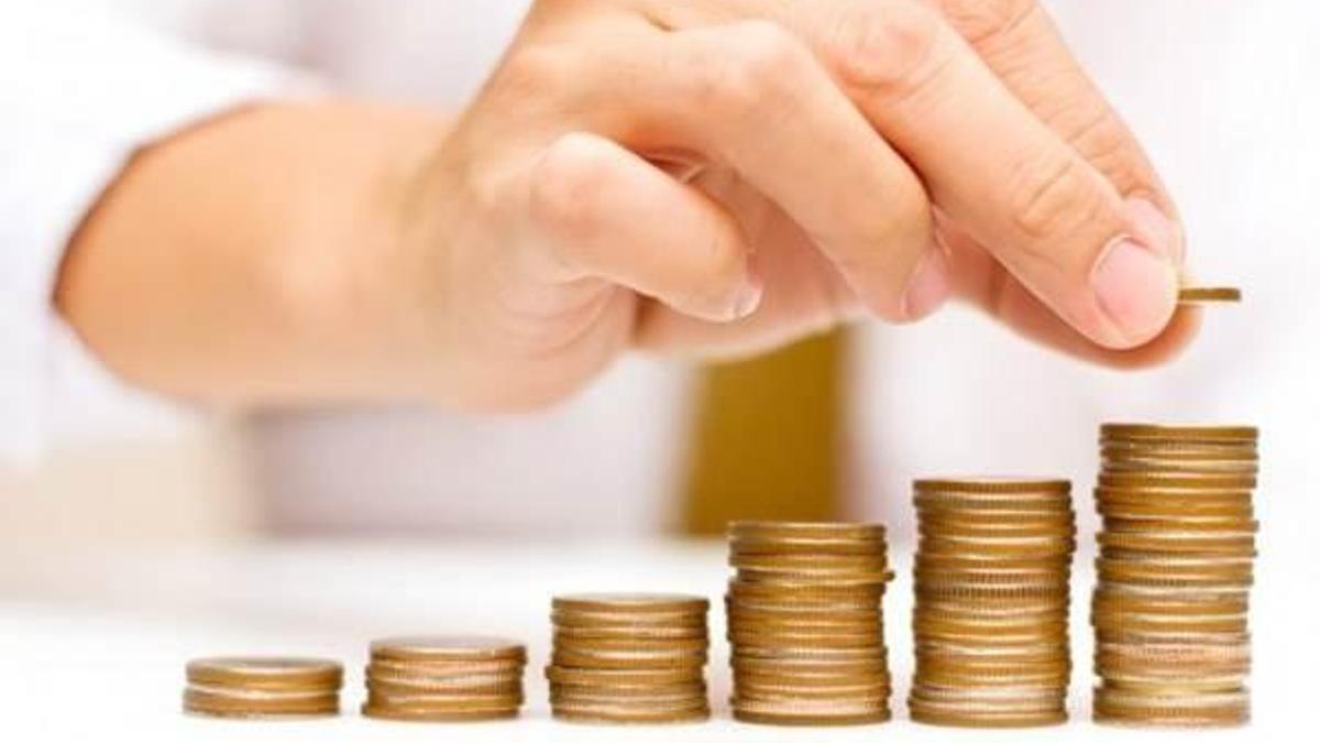 Yuvayı yapan dişi kuş tasarrufu sevmiyor