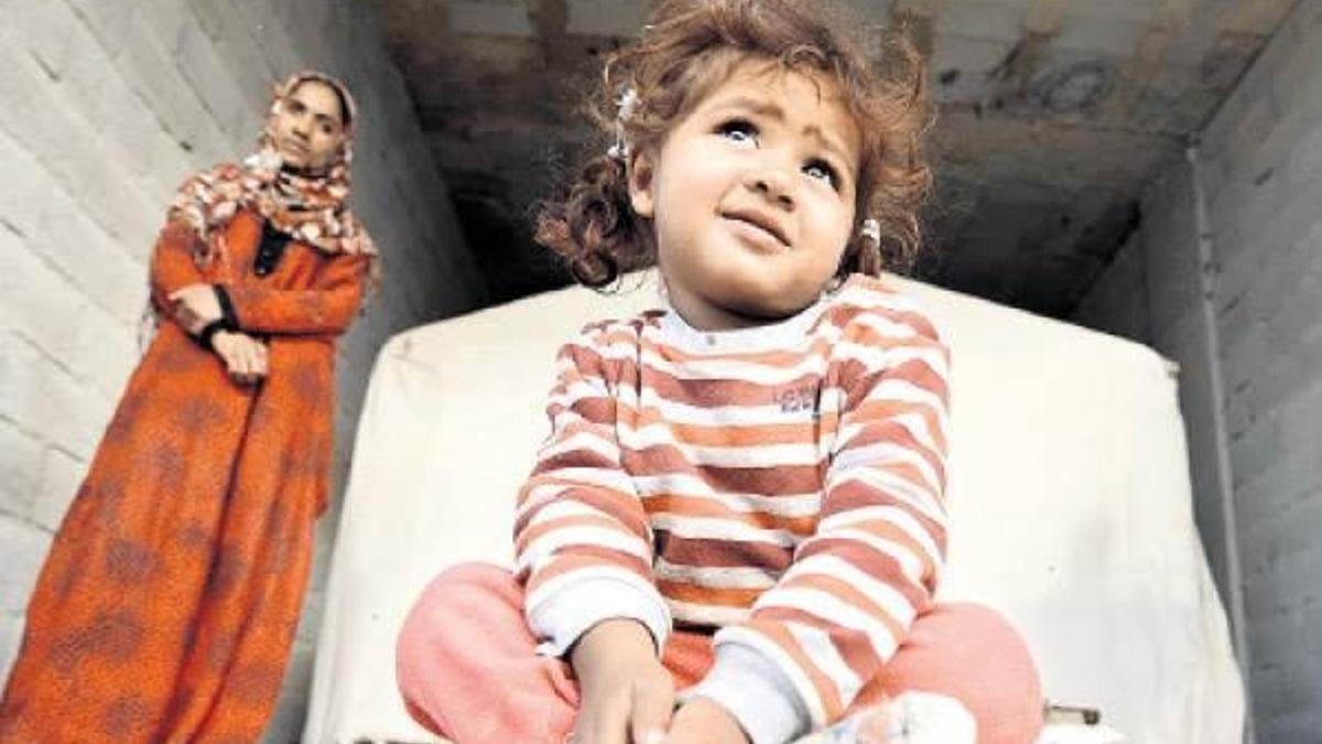 Misafir değil kalıcı oldular!