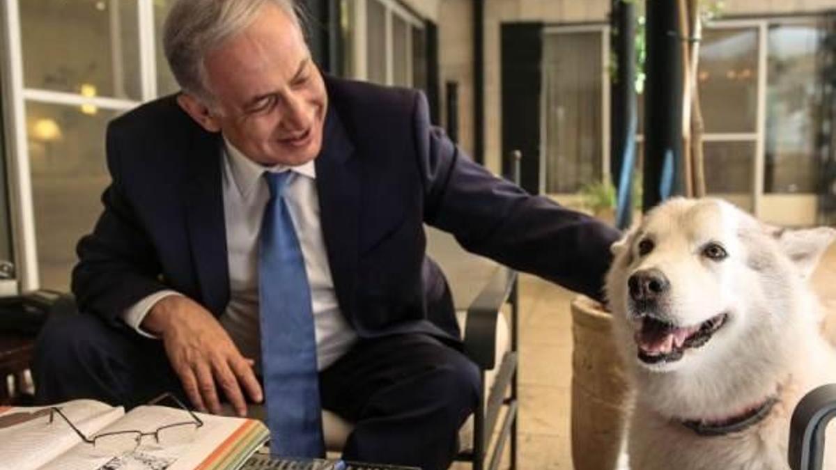 Netanyahu'nun köpeği misafirleri ısırdı