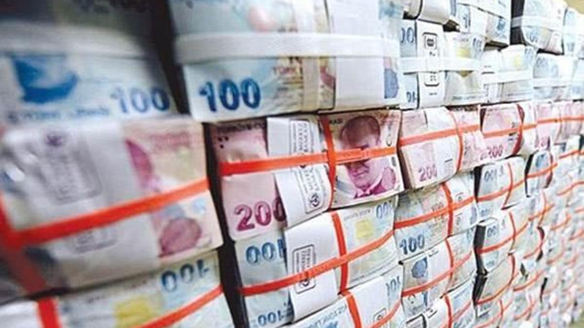 Korkulan olmadı en çok TL kazandırdı