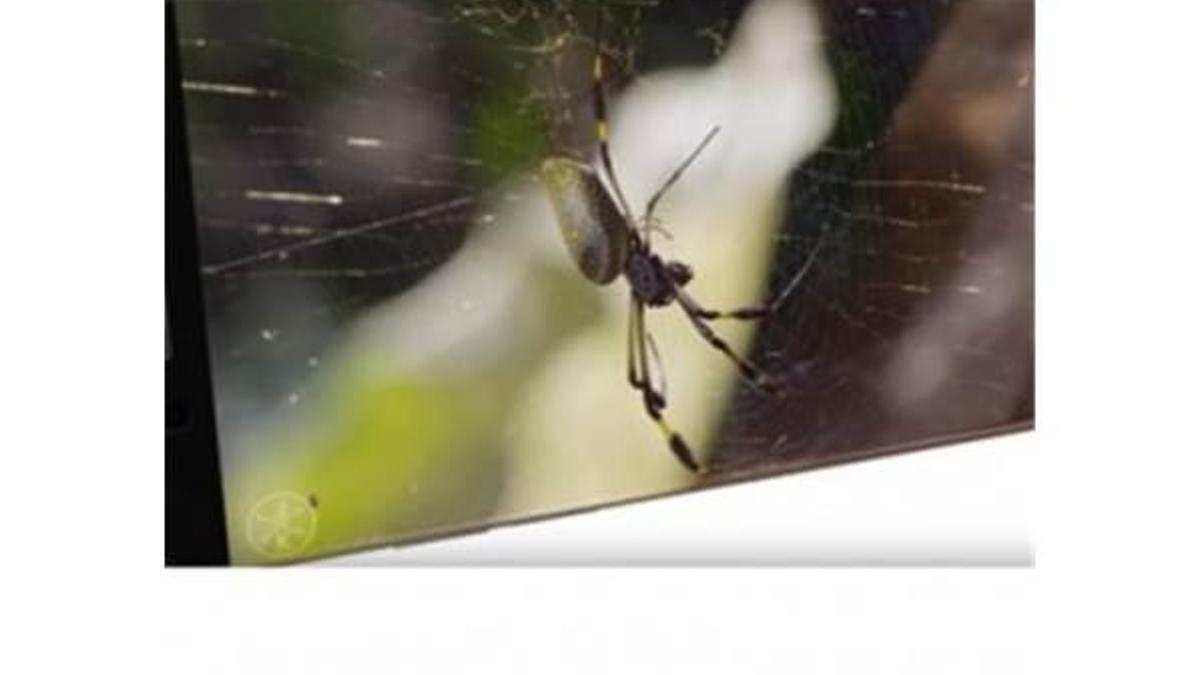 iPhone 7 Edge Tasarım olarak karşımıza çıktı!