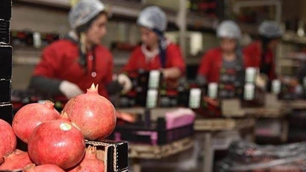 Rusya aralıkta stok yaptı, meyve ihracatı arttı