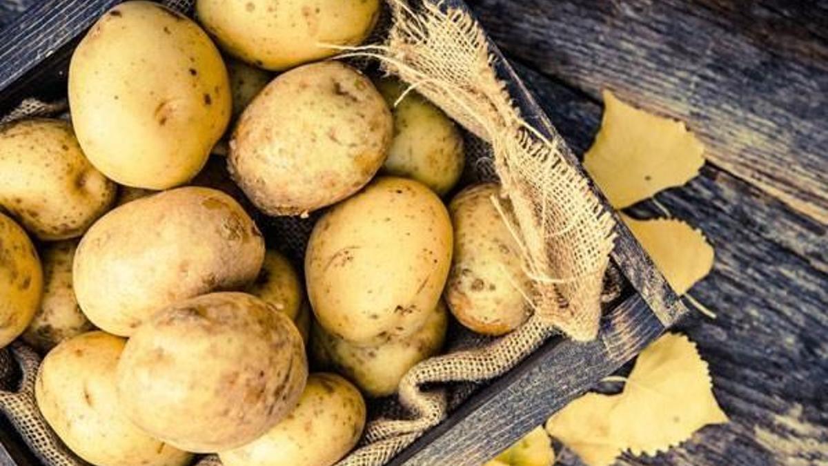 Patates karaciğeri bitiriyor