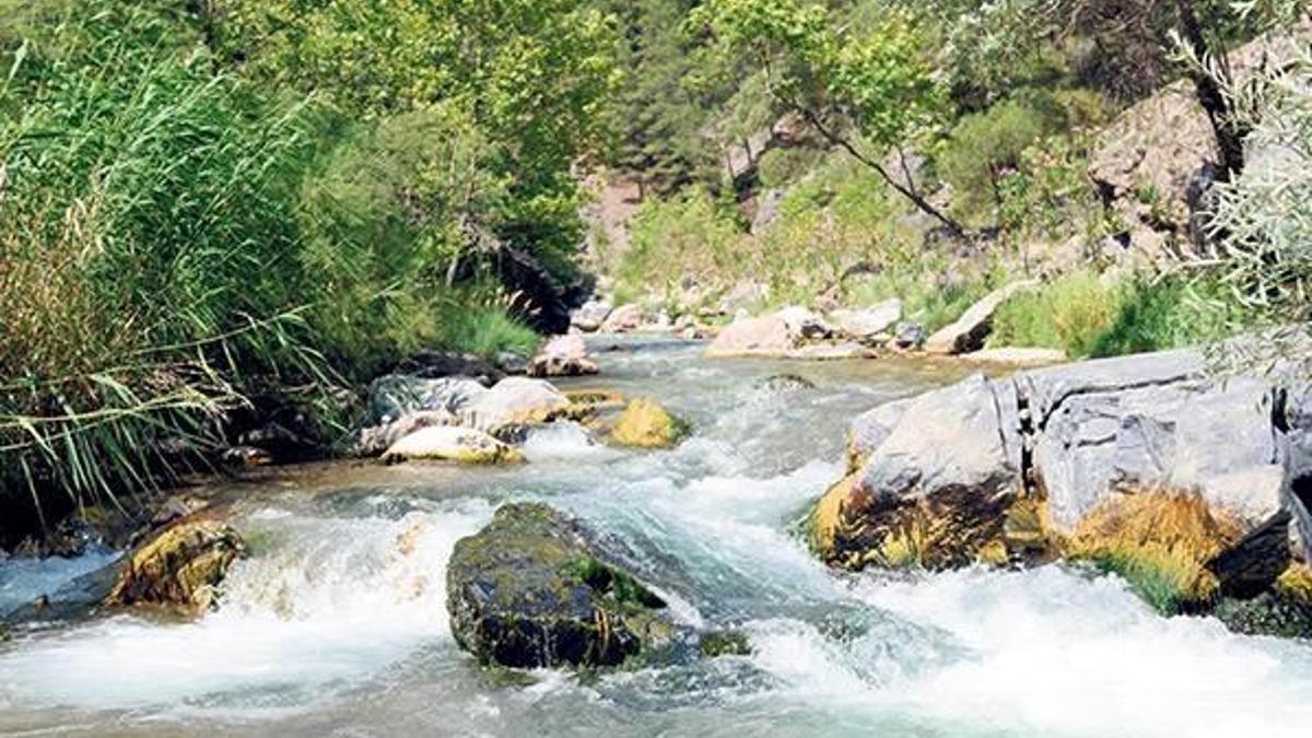 Danıştay’dan Alakır müjdesi