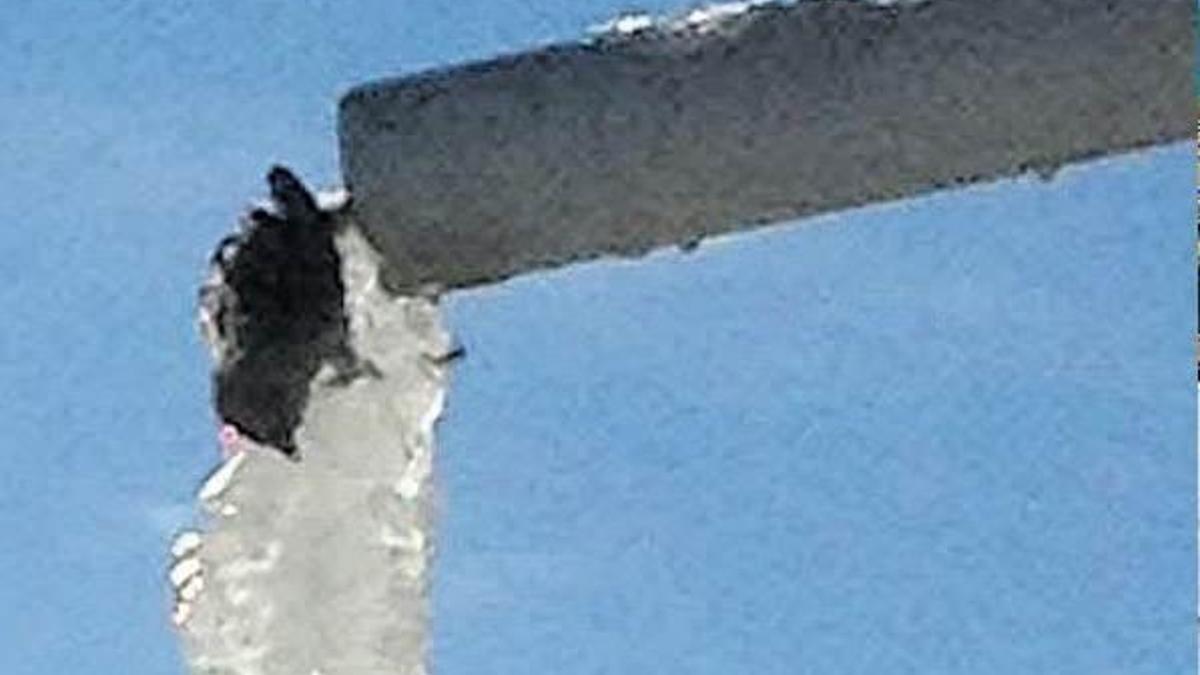 Serçe, içmek istediği su ile birlikte dondu