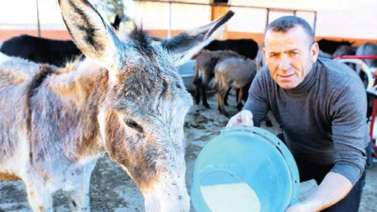 1 litre eşek sütünün fiyatı 143 litre petrole bedel