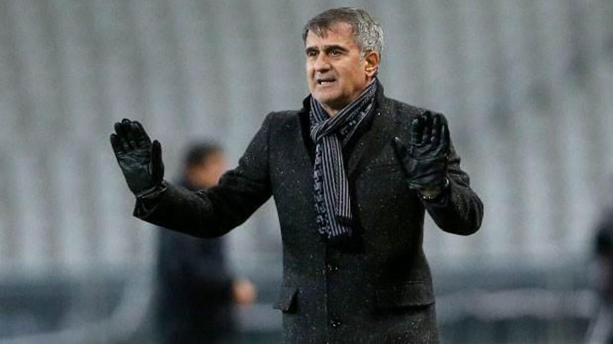 'Keşke hiç gelmeseydik'