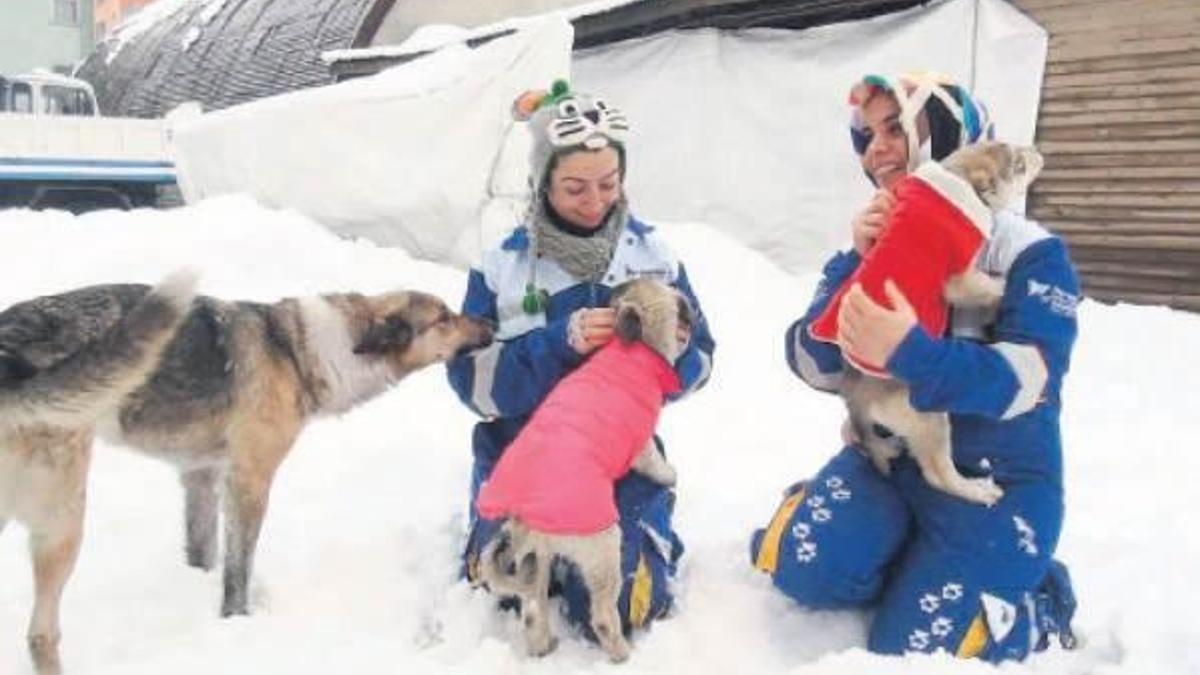 Bitlis’e Almanya’dan yağmurluk