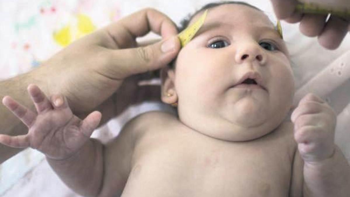 Zika salgını Güney Amerika’da yayılıyor