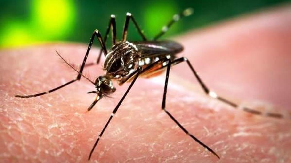 Korkunç virüs! 22 ülkeye gitmeyin uyarısı geldi