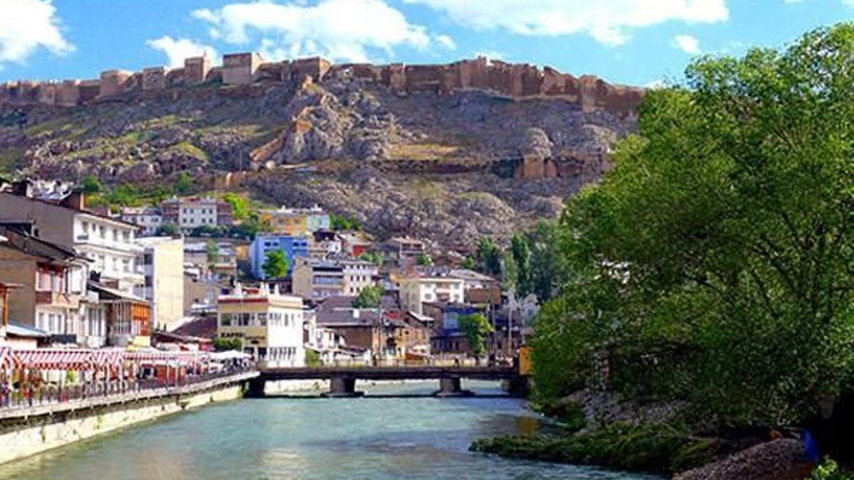 2015 yılında cinayet işlenmeyen tek il