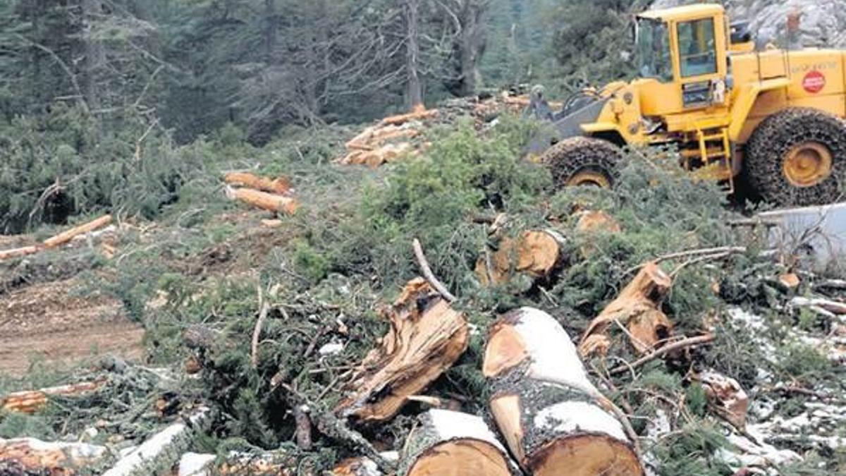 Çevre ve doğa koruma karnemiz kötü geldi