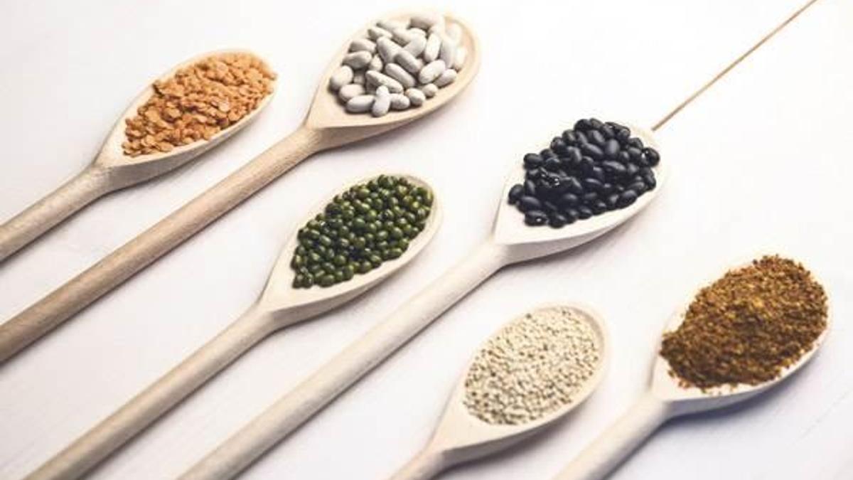 Yeni baklagiller ve tohumlarla tanışıyoruz