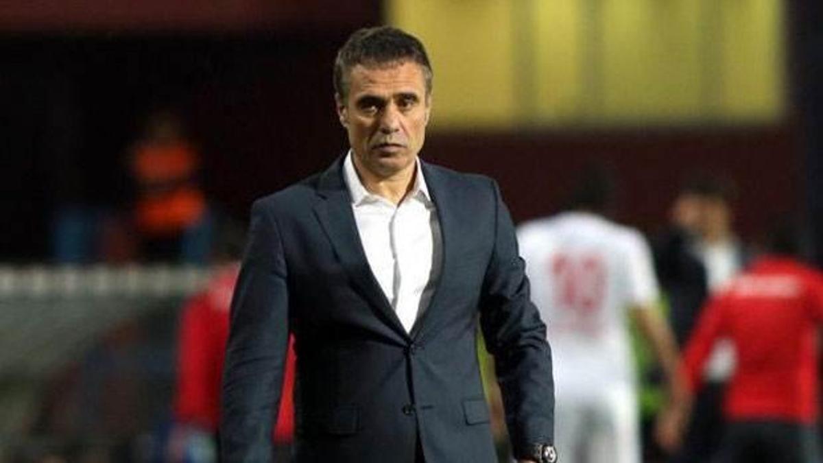 Çin, Yanal'a da talip!