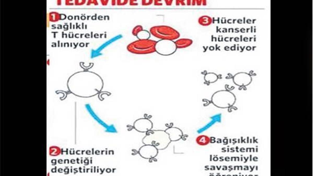 İnsanlık kanserin bileğini büküyor