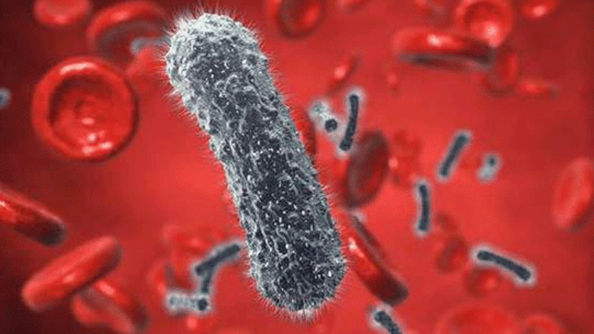 Hepatit C hastalarının ilaçlarını SGK karşılayacak