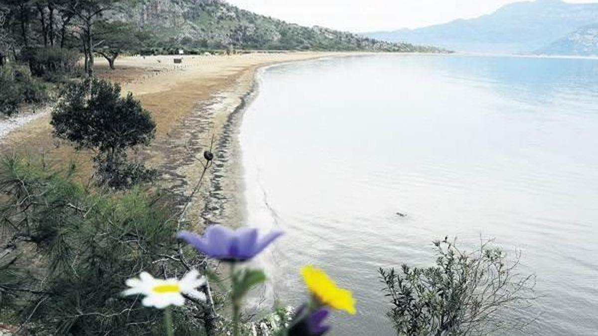 İztuzu Plajı akademik dokunuşla hayat buldu
