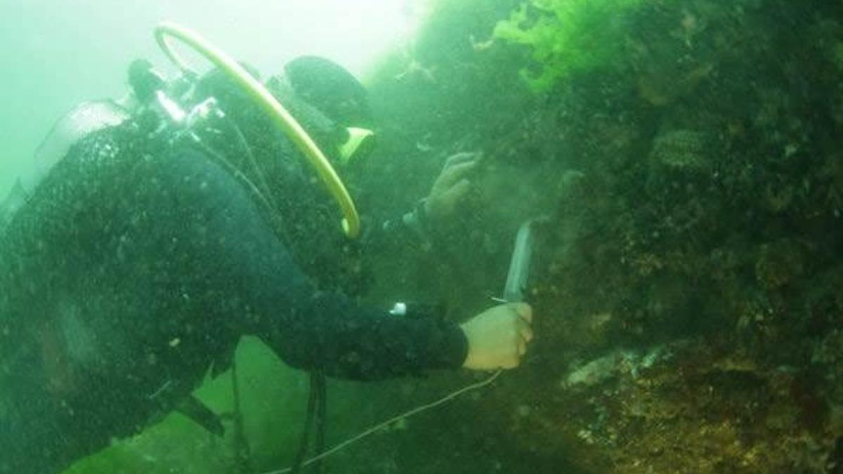 İstanbul'un kayıp adası için çalışmalar başladı
