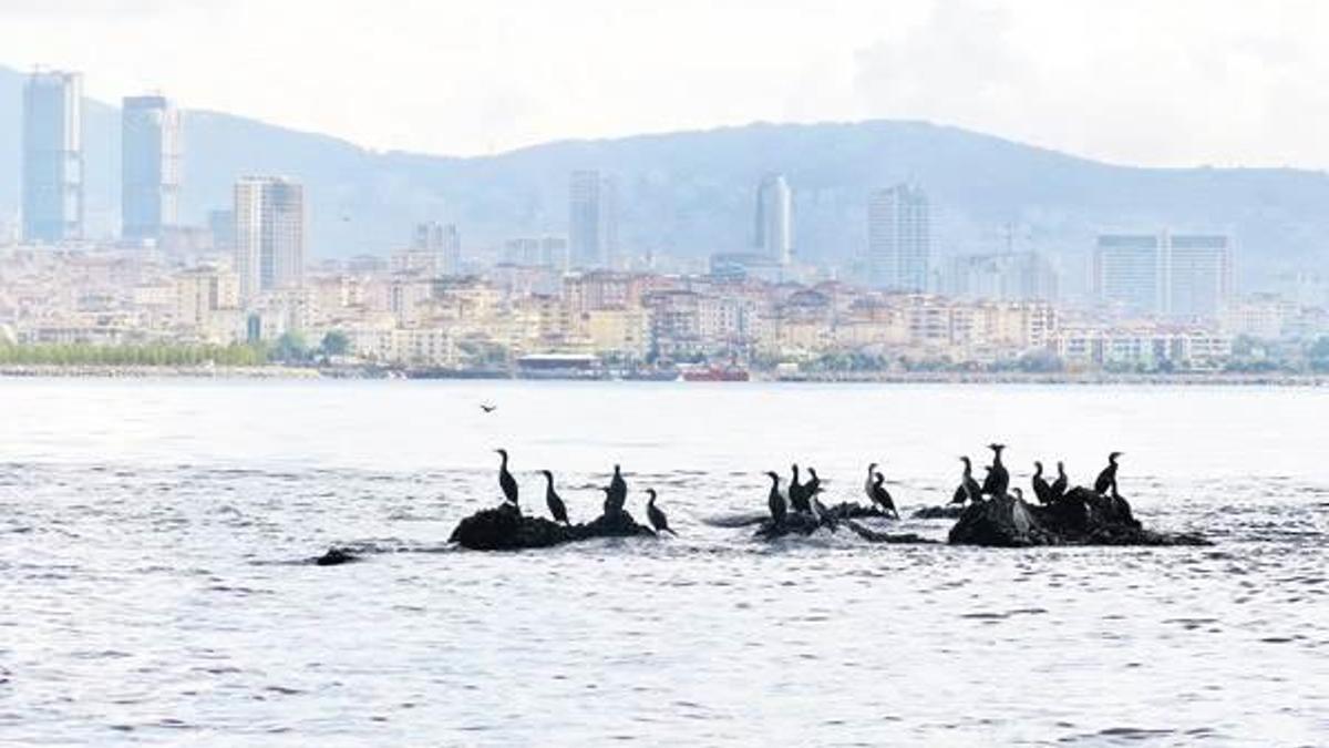 İstanbul’un kayıp adası UNESCO yolunda