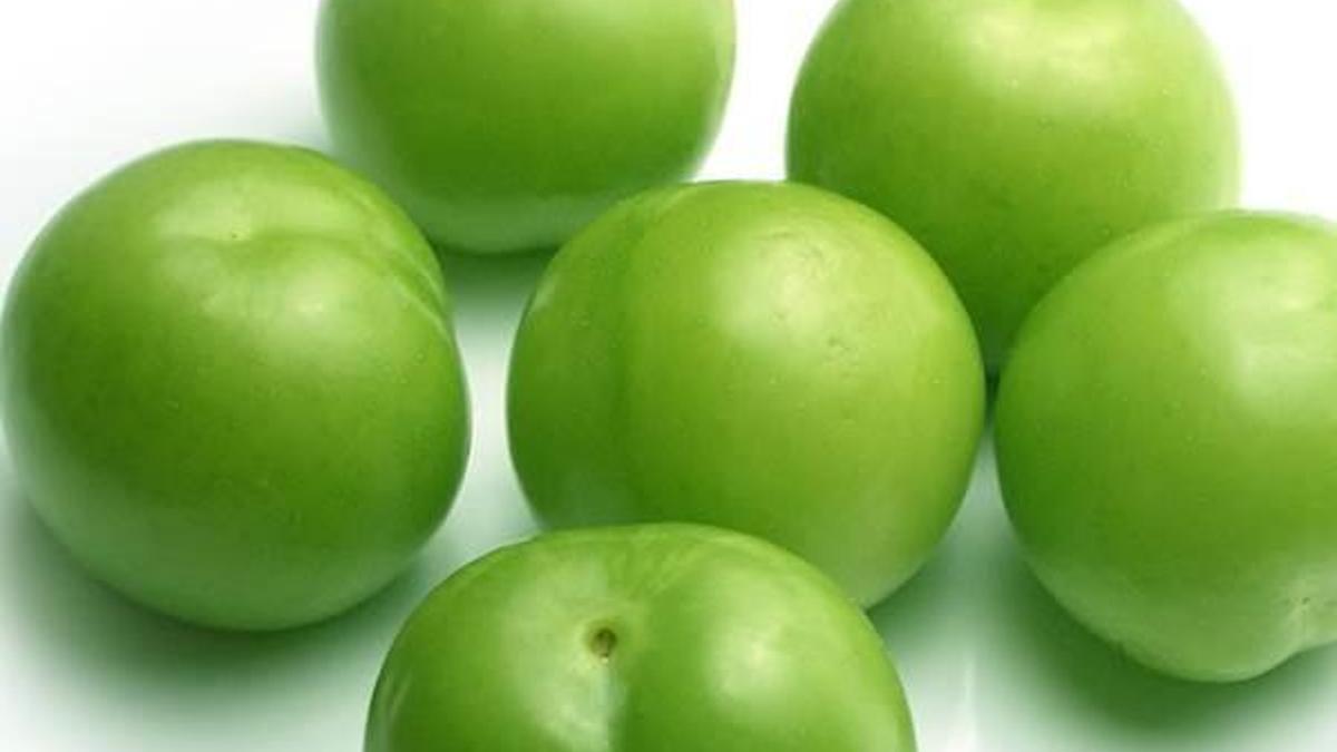 Bir kilogram erik 300 liradan satıldı
