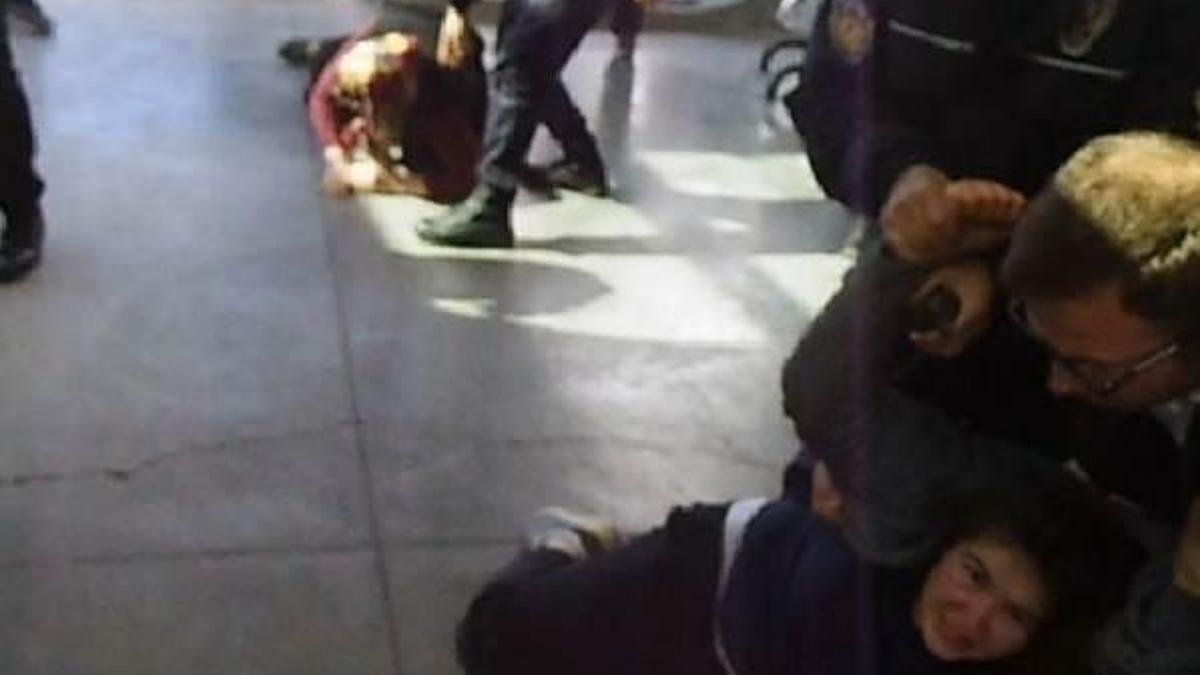 Karaman'da köpek kavgası