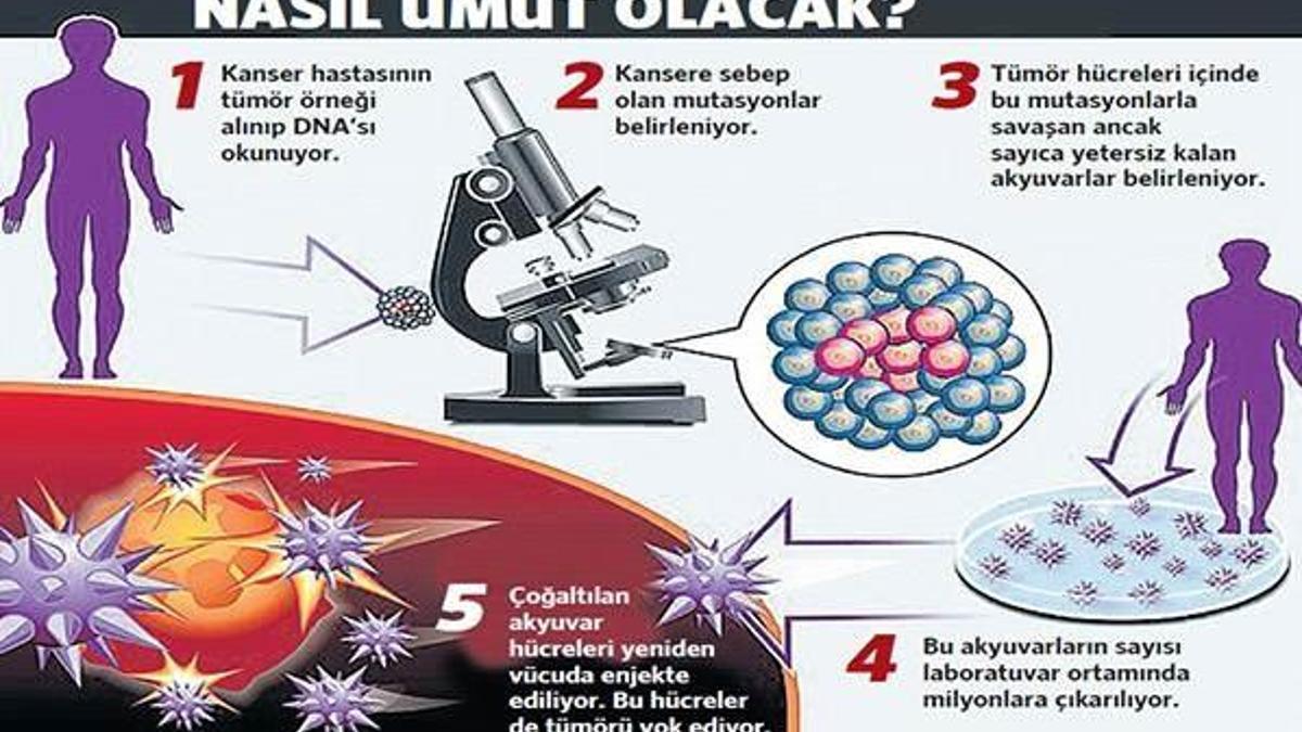 Kanserin ‘zayıf noktası’ bulundu, oradan vurulacak