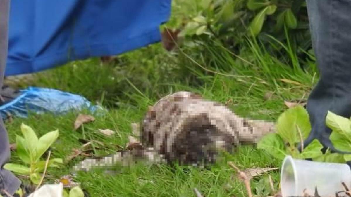 Sapanca'da bebek cesedi bulundu