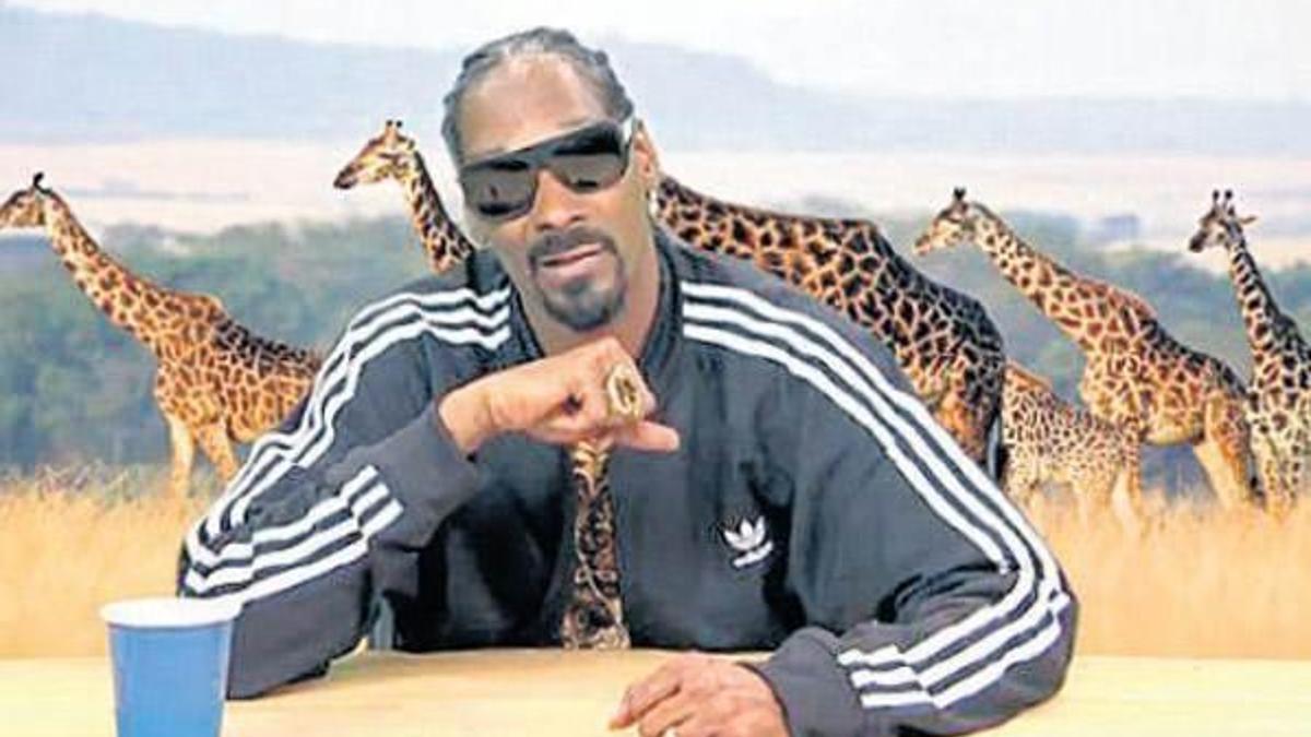 Belgeselci Snoop