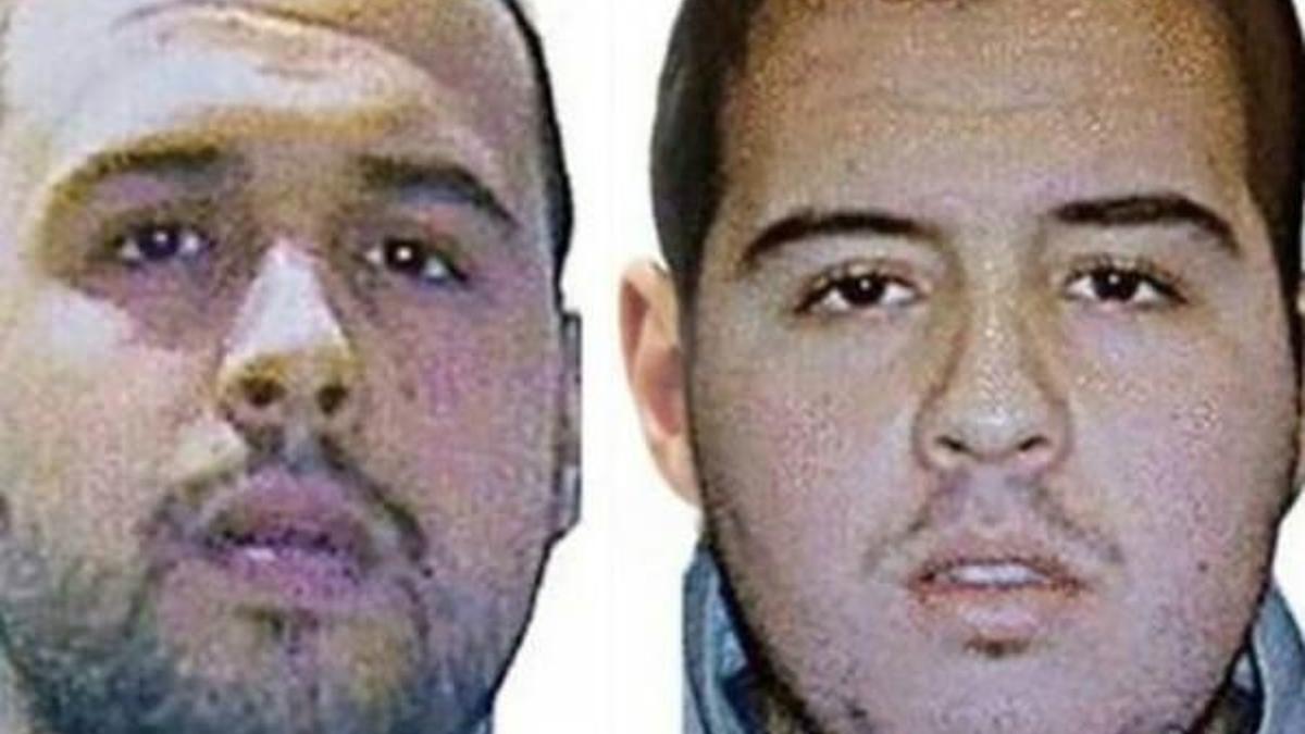 Hollanda: Türkiye'nin sınırdışı e-postasını geç gördük