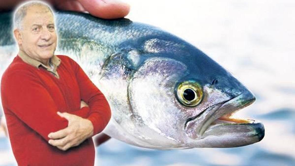 Çanlar balıklar için çalıyor