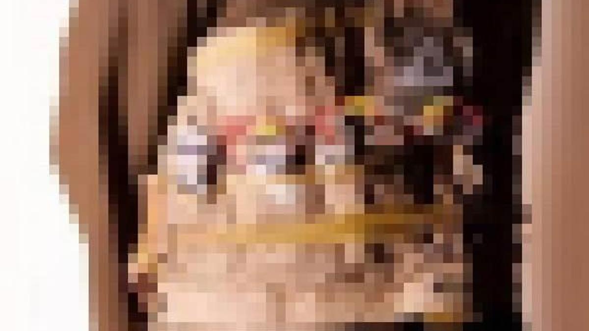 Birden çok canlı bomba iletilmedi