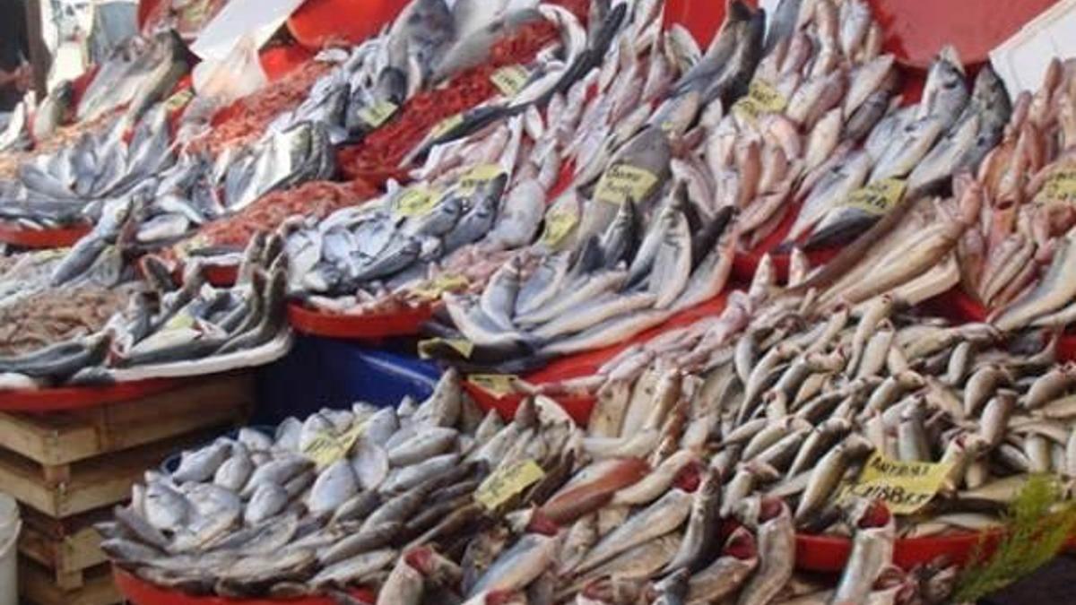 Yasak başladı balık fiyatları arttı