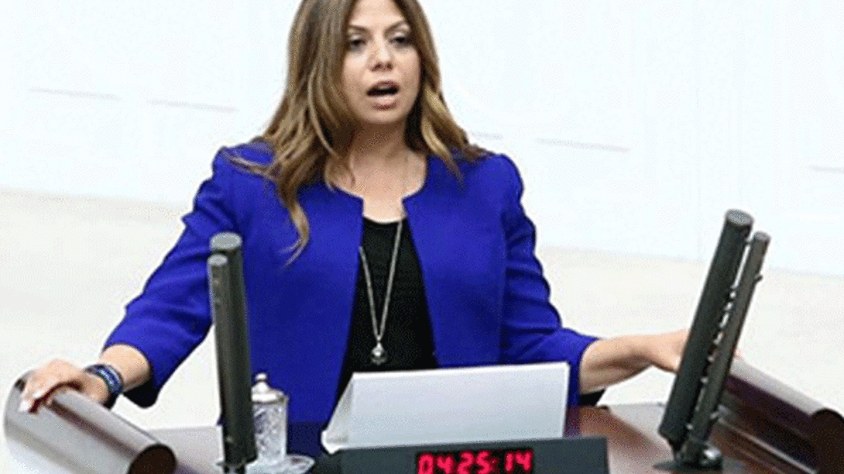 CHP'li Altıok: Kilis Suriye'nin lojistik merkezi haline gelmiş durumda